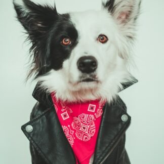 Bandana clásica