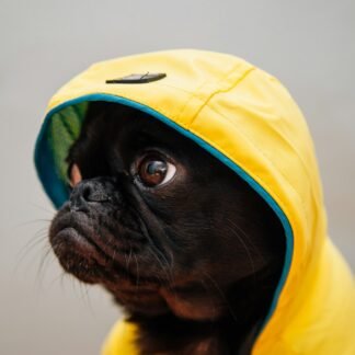 Chubasquero impermeable Rainy