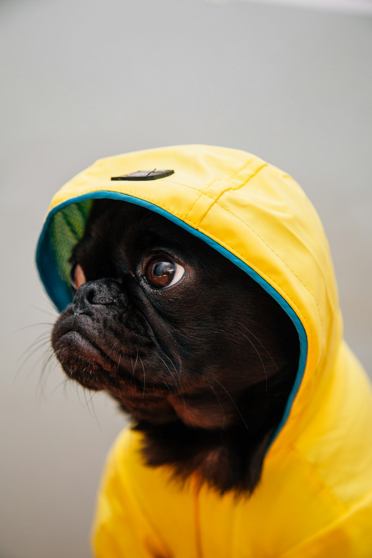 Chubasquero impermeable Rainy