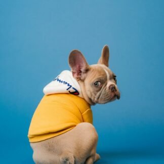Sudadera con capucha Cozy