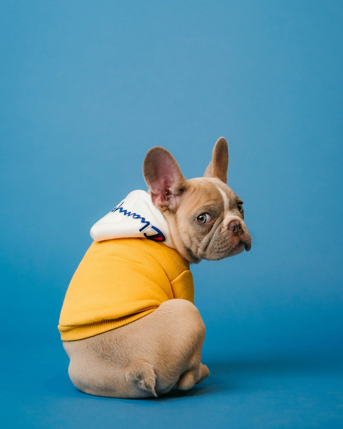 Sudadera con capucha Cozy