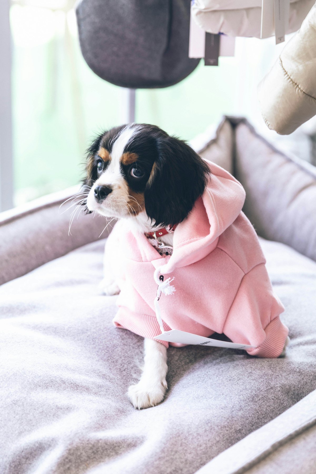 Sudadera con capucha Cozy